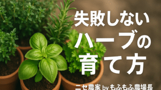 枯らさない!家庭でできる「失敗しないハーブの育て方」入門