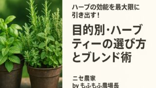 ハーブの効能を最大限に引き出す!目的別・ハーブティーの選び方とブレンド術
