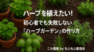 ハーブを植えたい!初心者でも失敗しない「ハーブガーデン」の作り方