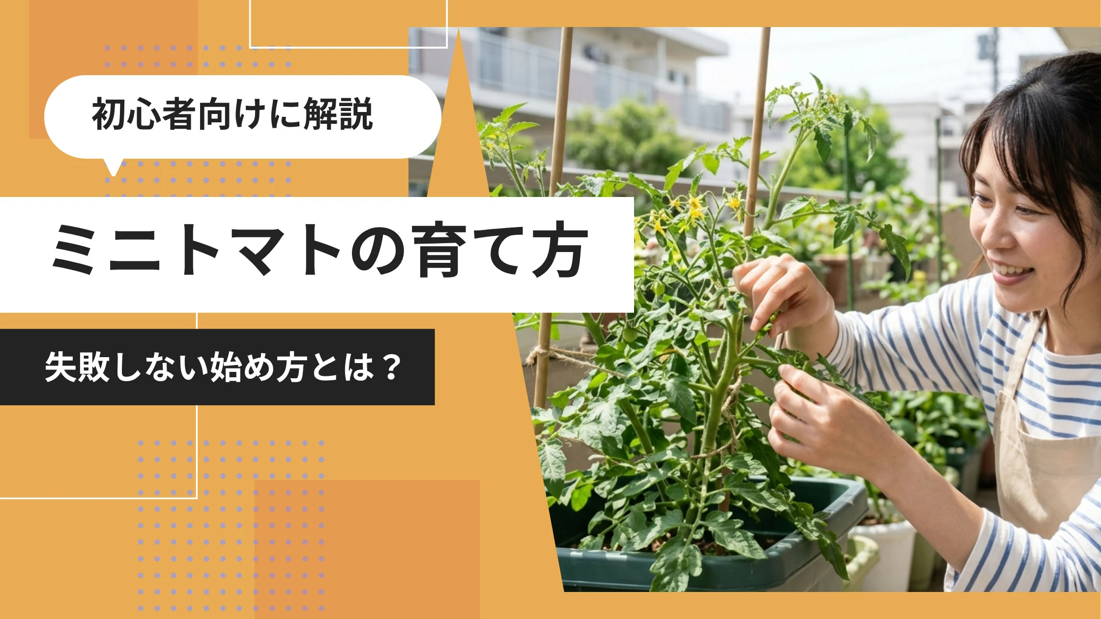 ベランダのプランターでミニトマトの手入れをする日本人女性