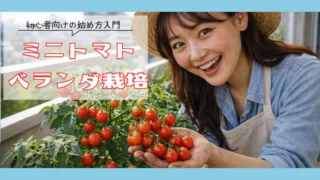 ミニトマトのベランダ栽培の始め方!初心者向け入門編